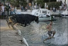 2216488088 37cc0ba81a