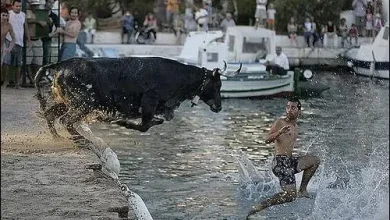 2216488088 37cc0ba81a