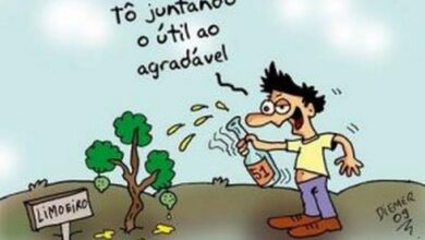 Piada Isso e o que mais tem na minha terra