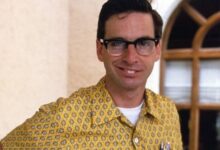 a vinganca do estagiario