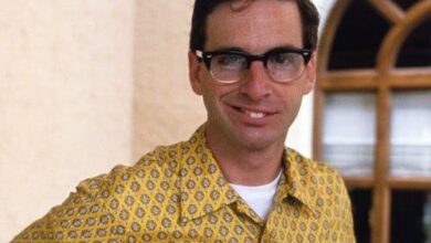 a vinganca do estagiario