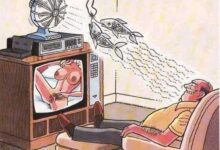 coloque um pouco mais de realismo em seu dia