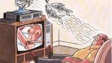 coloque um pouco mais de realismo em seu dia