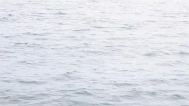 corrida de submarino