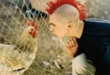 O frango na cara e a transa gelada 16 frango na cara