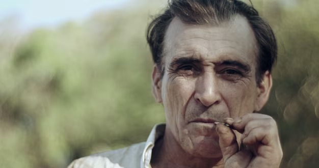 Caipira e a Brincadeira de Antônimos no Bar