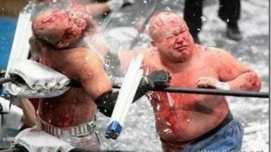 japanese neon light fight 1 thumb4