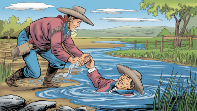 salvamento do gaucho