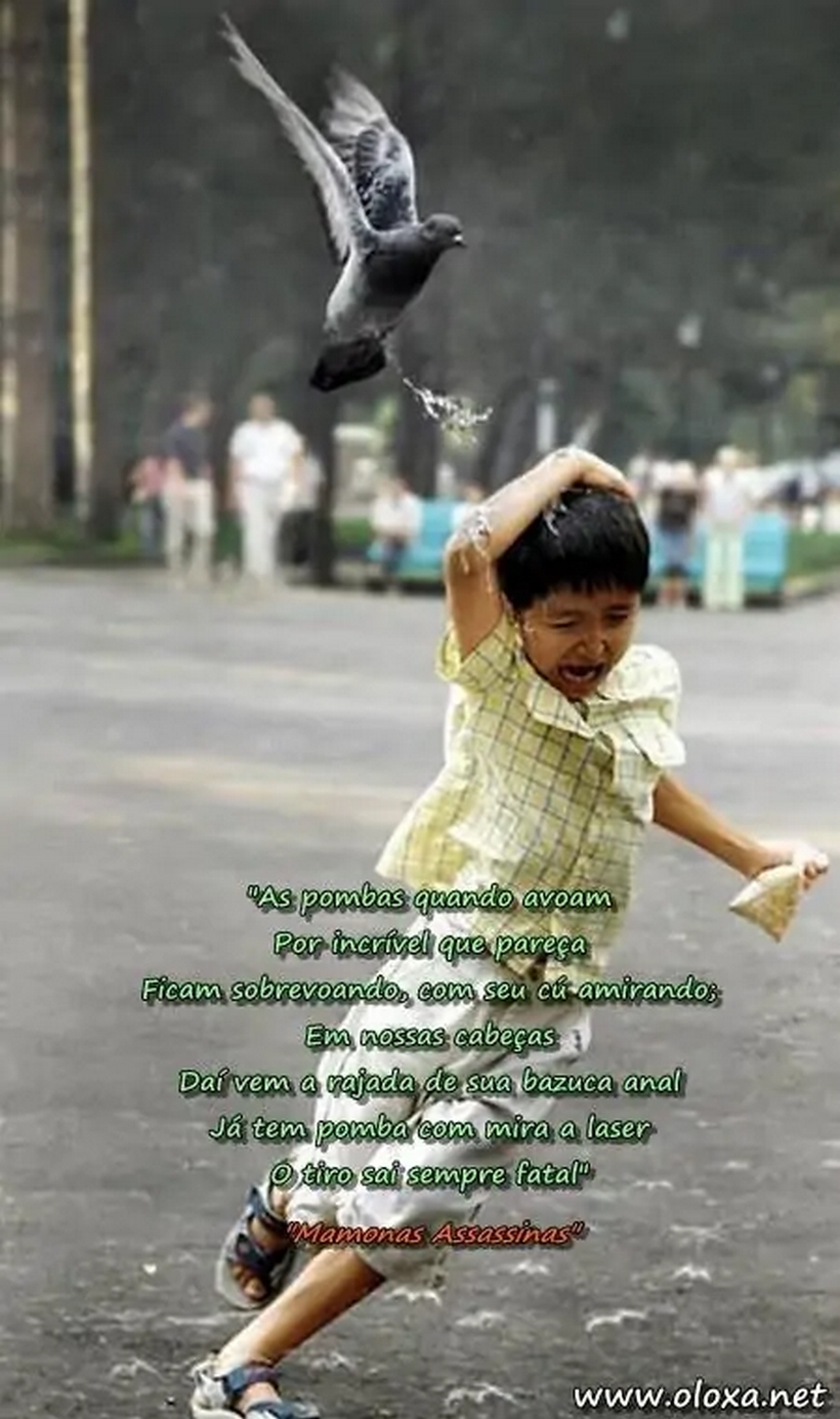 vinganca do pombo