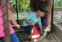 3 image013 thumb5B25D