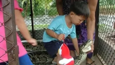 3 image013 thumb5B25D