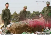 image0032 thumb5B15D