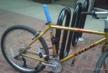 randoms awesome day 20 thumb5B15D