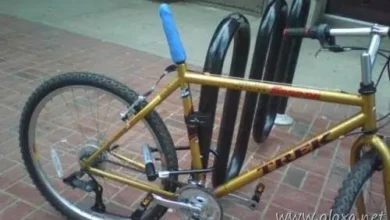 randoms awesome day 20 thumb5B15D