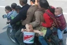 72031170358652998550100 thumb5B15D