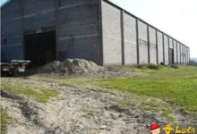 dusty rare car collection 2 1 thumb5B15D