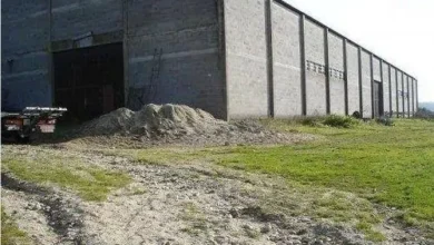 dusty rare car collection 2 1 thumb5B15D