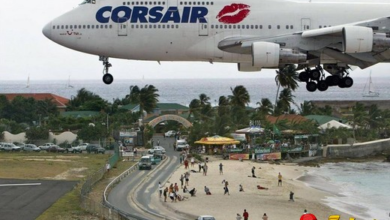 avioes20um20prazer20em20voar20284229 thumb