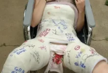 estando20livre20C3A920o20que20importa thumb