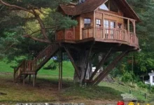 houses built in nature 5 thumb