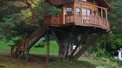 houses built in nature 5 thumb