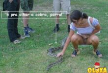 390893 314261995268222 100000532727887 1238770 1257234417 n