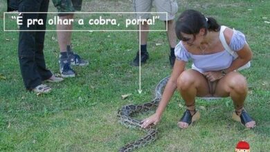 390893 314261995268222 100000532727887 1238770 1257234417 n