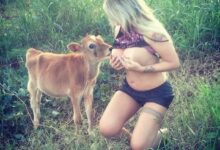 Sabrina Boing Boing posta fotos amamentando bezerro e volta a causar polêmica 30 sabrina boing boing amamentando bezerro