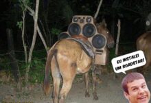 Eu instalei um Roadstar 17 jumento celestino