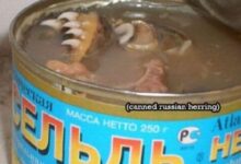 comidasenlatadaseestranhas thumb