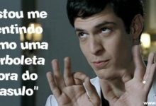 felix borboleta casulo