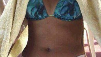 uma pata de camelo de respeito