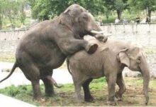 1388384967 dd252e12f0 o