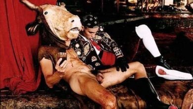 arsen salvadov um artista um pouco bizarro 1