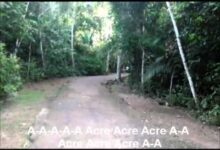 vergonha alheia records apresent