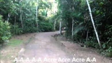 vergonha alheia records apresent