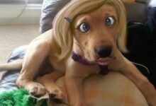 brincando de photoshop 1