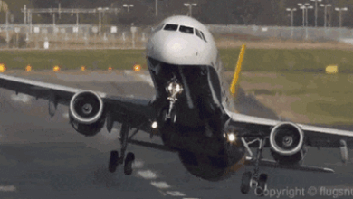 Captura de tela 2025 05 20 221410