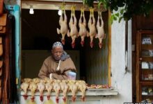 Comercio de rua em diferentes paises do mundo 1