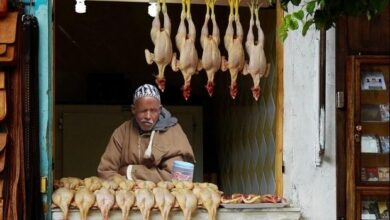 Comercio de rua em diferentes paises do mundo 1