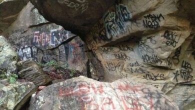 se voce faz isso por favor se mate 1