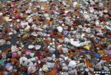 rios poluidos na india 1