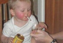 Pais E Filhos Fail 1