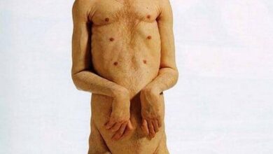 Esculturas Bizarras de Patricia Piccinini: Feias, Peludas e Geniais 29 Criatividade bizarra nas esculturas de Patricii Piccinini 1