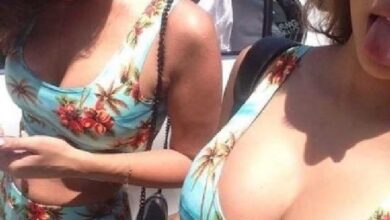 Gatas e seus belos peitos 1