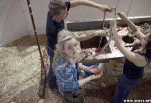 BIZARRO Americanos consomem milhares de cascaveis em festival 1