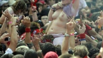 Festivais de musica um lugar onde tudo acontece 1