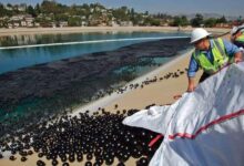 Voce sabe para que serve essas bolas plasticas na agua