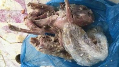 gambas temperados encontrados em restaurante