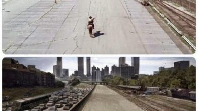 Antes e depois de efeitos especiais de cinema 1